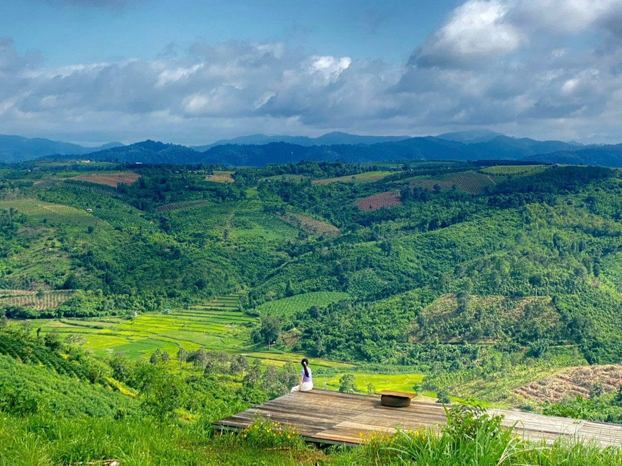 Green Beli Farm welcomes you with a green oasis among the hills. Photo: NVCC img-8525.jpg