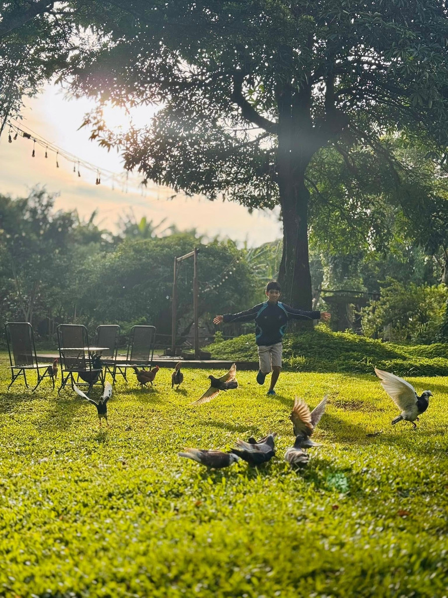 The village healing space at Paksong Farmstay is a popular choice for families during the Independence Day holiday. Photo: Provided by source hinh-2.jpg