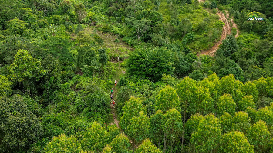 Chư Nâm Mountain has been added to the 2025 race route download-29.jpg