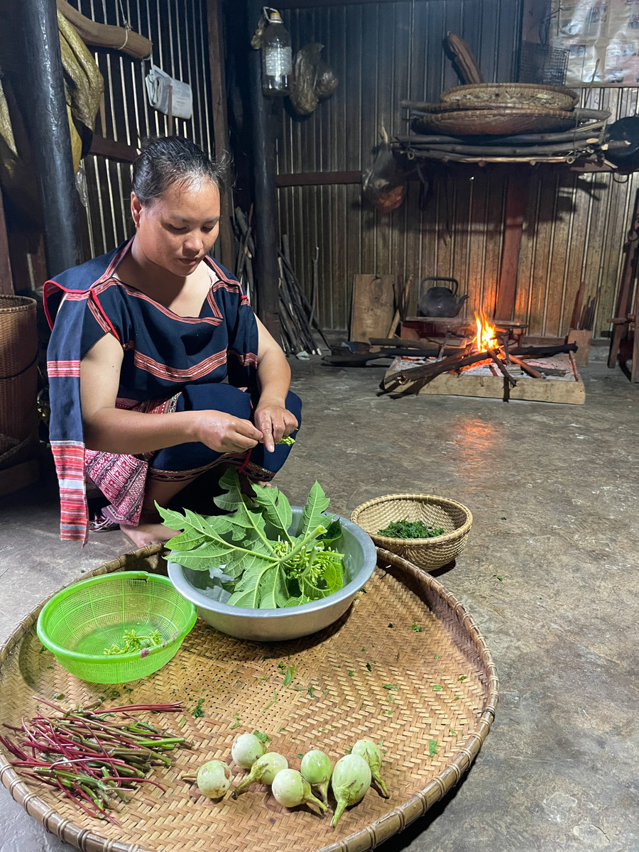 Ingredients like cassava leaves and bitter eggplant are grown right in the home garden. Photo: Hoàng Ngọc img-9310.jpg