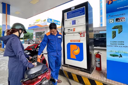 Switching to E10 Gasoline: Businesses Ready, Consumers Gradually Adapting