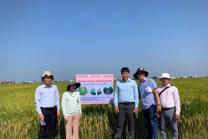 Low-Emission Production in Crop Cultivation: Opening Pathways to Participate in the Carbon Credit Market