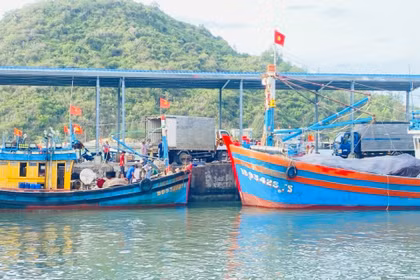 Thoroughly Addressing Shortcomings and Limitations in Combating IUU Fishing