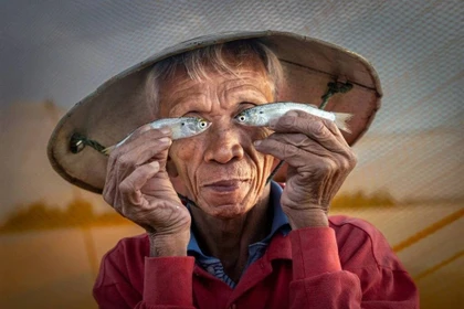 "Fisheye" Photo Wins Top Prize at International Photography Competition