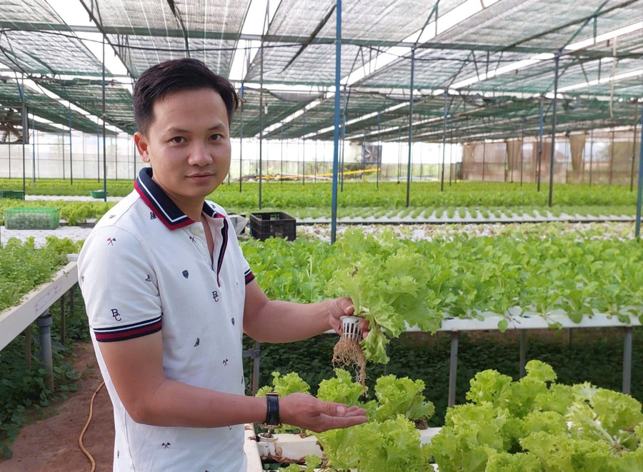 Nguyễn Nam Phong, Deputy Director of Hương đất An Phú Co., Ltd., honored as one of 63 outstanding Vietnamese farmers awarded the title "Excellent Vietnamese Farmer" in 2025. Photo: N.D anh-nguyen-nam-phong-trong-nha-long-trong-rau-thuy-canh.jpg