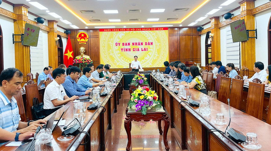 Overview of the meeting. Photo: Phi Long