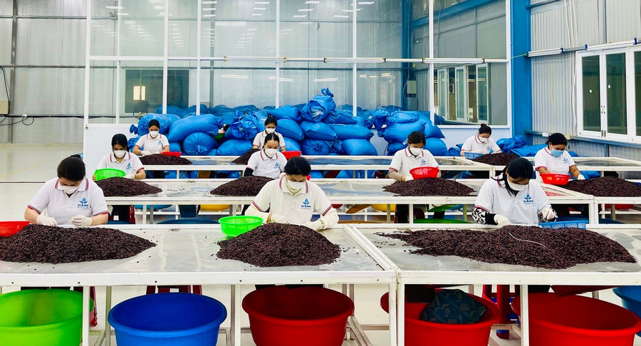 Decree No. 235/2025/NĐ-CP of the Government revises the scope of beneficiaries under the industrial promotion policy. Photo: V.T 18-17314625718701877606478.jpg