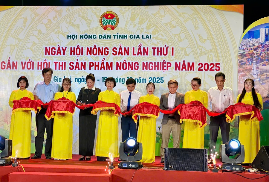 Ribbon-cutting ceremony to open the Agricultural Products Festival and Competition. Photo: M.L cat-bang-khai-mac-ngay-hoi.jpg