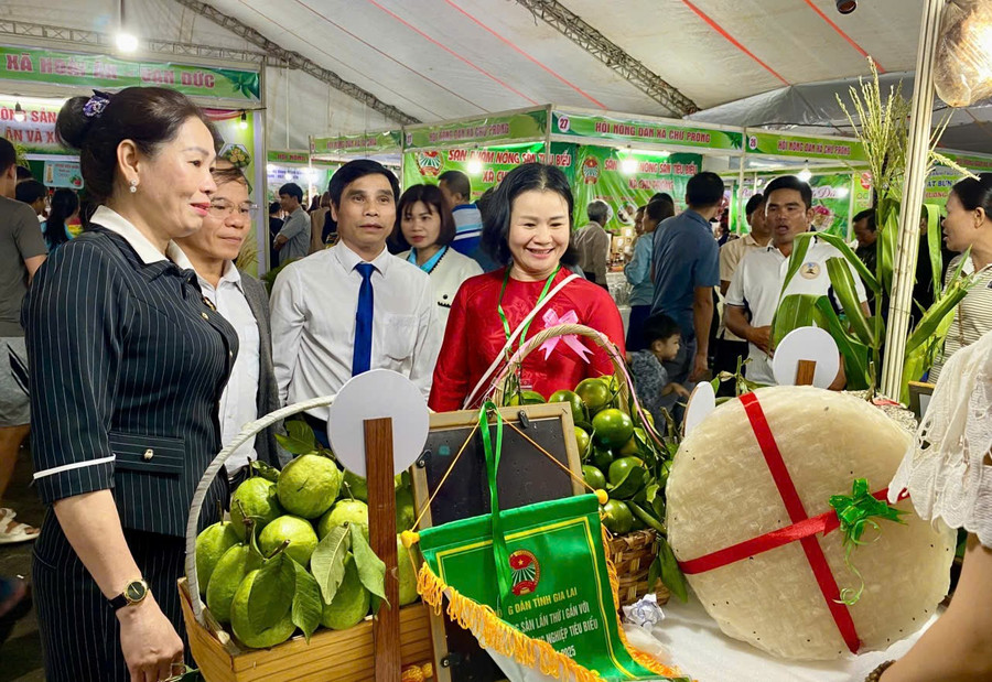 Provincial People’s Council leaders visit the booths. Photo: M.L lanh-dao-hoi-dong-nhan-dan-tinh-tham-quan-cac-gian-hang.jpg