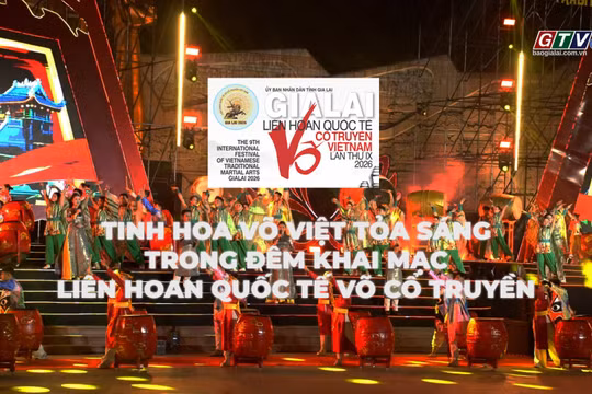 Int’l Vietnamese traditional martial arts festival opens with grand cultural showcase