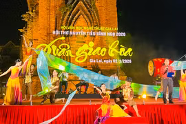 Nguyên Tiêu poetry night opens in Gia Lai with “Spring in harmony” theme