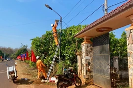 Gia Lai Power Company donates solar streetlights to border hamlet
