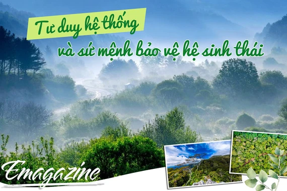 Systems Thinking and the Mission to Protect Ecosystems