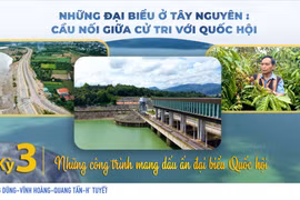 Landmark projects bearing the imprint of National Assembly Deputies