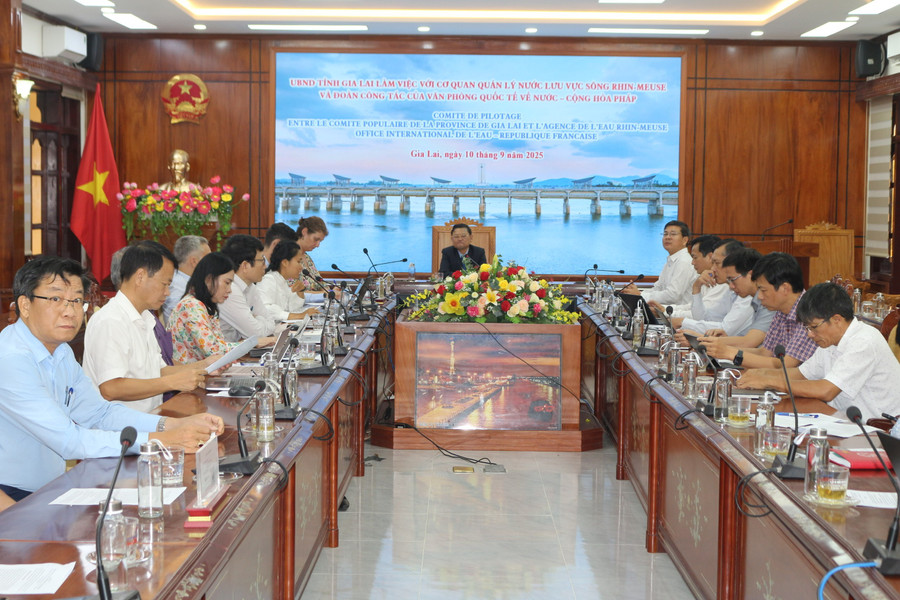 Overview of the working session. Photo: Đức Hải a4.jpg
