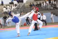 The Vietnam Taekwondo Federation provides technological support for the Gia Lai Provincial Sports Festival.
