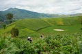 Chu Dang Ya volcano: A stunning jewel among the world’s most beautiful craters