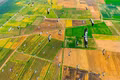 Gia Lai Plateau During the Migratory Season of Storks and Herons