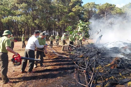 Proactively Prevent Forest Fires from the Start of the Dry Season