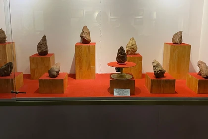 Pleiku Museum to showcase early paleolithic artifacts from Roc Tung - Go Da site during Tet holiday
