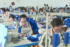 Family bonds and words of encouragement bring renewed hope to inmates at the Inmate Family Representatives Conference organized by Gia Trung Prison.