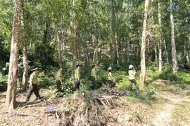 Harnessing Community Strength in Forest Management and Protection in the Province in 2025