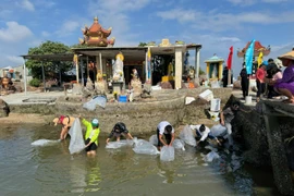 Releasing juvenile fish into Thi Nai Lagoon is a regular activity.