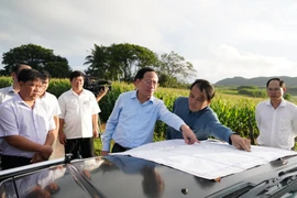 Chairman of the Provincial People's Committee Pham Anh Tuan surveys the area proposed for the new administrative center of Cuu An Commune in An Dien Bac Hamlet.