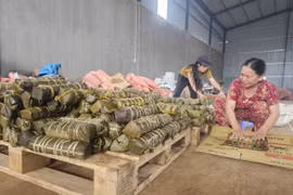 Gia Lai residents make bánh Tét for flood victims in Central Vietnam
