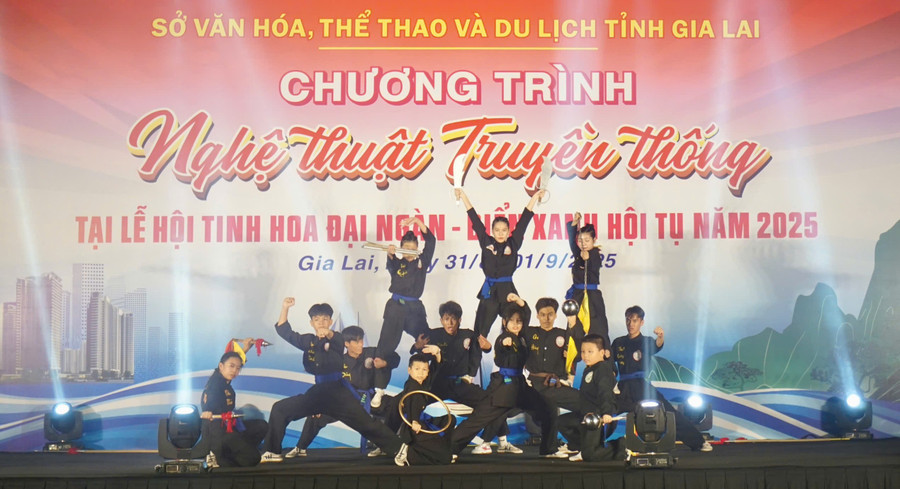 Traditional martial arts performance by students from the Phan Hòa martial arts school. Photo: Dương Linh vo-co-truyen.jpg