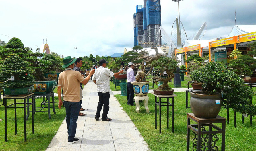 Many visitors came to admire, photograph, and film the exhibition, helping to spread awareness, promote, and boost the trade of ornamental plants and flowers. Photo: H.V lien-hoan-sinh-vat-canh-tinh-gia-lai-13.jpg