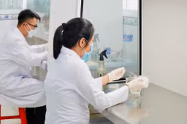 Experts are conducting in-depth research and propagation, assessing the growth performance of shiitake mushrooms using Japanese technology.