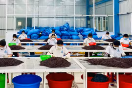 Decree No. 235/2025/ND-CP issued by the Government adjusts the target groups eligible for industrial promotion policies. Photo: V.T