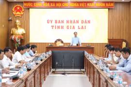 Gia Lai Provincial Steering Committee for the Implementation of the Private Economic Development Project Holds Second Meeting