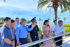 Towards the Professionalization of Marine and Island Tourism