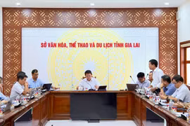 Meeting Held to Organize the 9th International Vietnamese Traditional Martial Arts Festival in Gia Lai