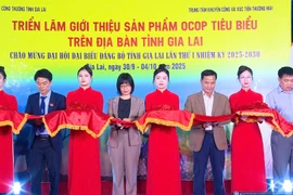 Vice Chairwoman of the Provincial People's Committee Nguyễn Thị Thanh Lịch (fourth from the left) and other delegates cut the ribbon to open the exhibition. Photo: Huy Toàn