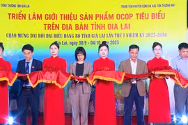 Vice Chairwoman of the Provincial People's Committee Nguyễn Thị Thanh Lịch (fourth from the left) and other delegates cut the ribbon to open the exhibition. Photo: Huy Toàn