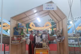 Gia Lai showcases 23 outstanding agricultural products at the Vietnam OCOP Festival 2025.
