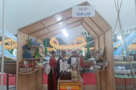 Gia Lai showcases 23 outstanding agricultural products at the Vietnam OCOP Festival 2025.