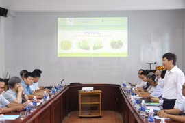 Vietnam pilots water-saving irrigation model to cut rice emissions