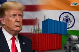 NATO faces dilemma between Russian oil and Trump's demands