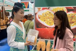 Enterprises from Gia Lai participated in the 20th China-ASEAN Expo (CAEXPO 2023). Photo: Provided by the Organizing Committee