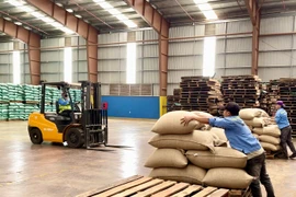 The coffee export warehouse of Vinh Hiep Co., Ltd. (An Phu Ward).