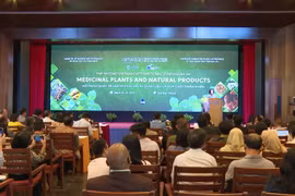 Gia Lai: International Scientific Collaboration in Medicinal Plant Research and Development