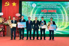 The combined revenue of four rubber companies in Gia Lai province reached VND 1,623 billion.