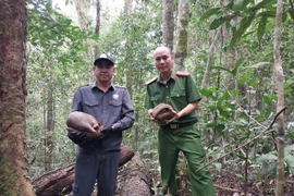 Endangered and Rare Animal Released Back into the Wild