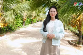 Ngoc Thuong Four-Season Fruit Garden