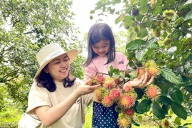 When Agricultural Production Becomes a Tourism Experience