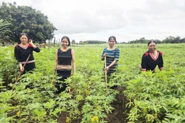 Highland Women Support Each Other to Stabilize Their Lives